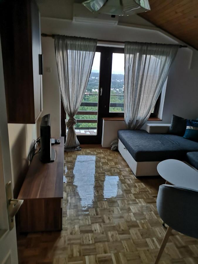 Apartment Gina Opatija Dış mekan fotoğraf