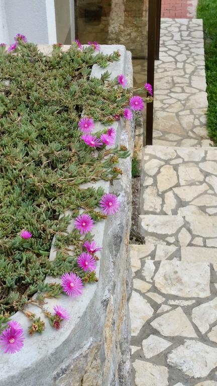 Apartment Gina Opatija Dış mekan fotoğraf